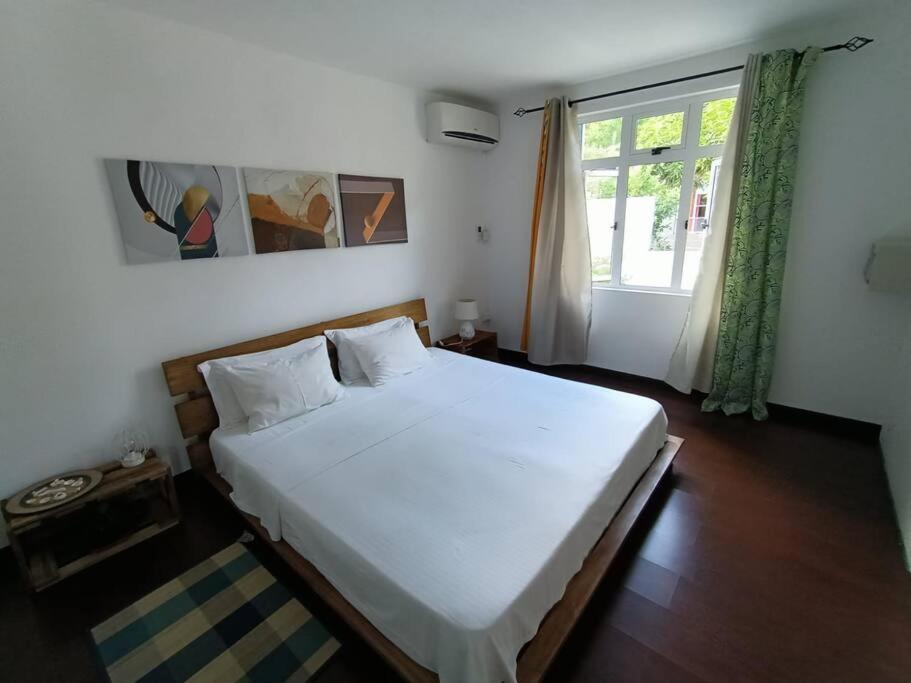 Ruisseau Creole Surf House Holidays מראה חיצוני תמונה